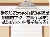 武汉纺织大学外经贸学院是哪里的学校，在哪个城市(武汉纺大外经贸学院位置)