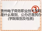 贵州电子商务职业技术学院是什么级别，公办还是民办(学院级别及性质)