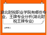 湖北财税职业学院有哪些专业，王牌专业分析(湖北财税王牌专业)