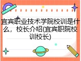 宜宾职业技术学院校训是什么，校长介绍(宜宾职院校训校长)