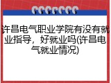 许昌电气职业学院有没有就业指导，好就业吗(许昌电气就业情况)