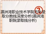 湄洲湾职业技术学院历年录取分数线深度分析(湄洲湾职院录取线分析)