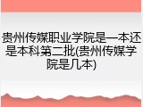 贵州传媒职业学院是一本还是本科第二批(贵州传媒学院是几本)