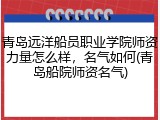 青岛远洋船员职业学院师资力量怎么样，名气如何(青岛船院师资名气)