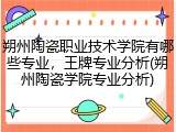 朔州陶瓷职业技术学院有哪些专业，王牌专业分析(朔州陶瓷学院专业分析)