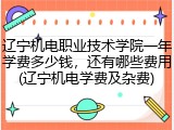 辽宁机电职业技术学院一年学费多少钱，还有哪些费用(辽宁机电学费及杂费)