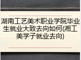 湖南工艺美术职业学院毕业生就业大致去向如何(湘工美学子就业去向)