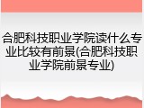 合肥科技职业学院读什么专业比较有前景(合肥科技职业学院前景专业)