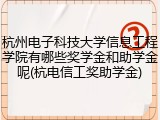 杭州电子科技大学信息工程学院有哪些奖学金和助学金呢(杭电信工奖助学金)