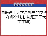 沈阳理工大学是哪里的学校，在哪个城市(沈阳理工大学在哪)