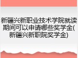 新疆兴新职业技术学院就读期间可以申请哪些奖学金(新疆兴新职院奖学金)