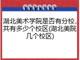 湖北美术学院是否有分校，共有多少个校区(湖北美院几个校区)
