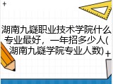 湖南九嶷职业技术学院什么专业最好，一年招多少人(湖南九嶷学院专业人数)