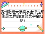 贵州财经大学奖学金评定细则是怎样的(贵财奖学金细则)