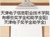 天津电子信息职业技术学院有哪些奖学金和助学金呢(天津电子奖学金助学金)