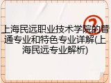 上海民远职业技术学院的普通专业和特色专业详解(上海民远专业解析)