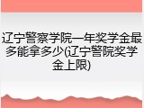 辽宁警察学院一年奖学金最多能拿多少(辽宁警院奖学金上限)