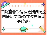 保险职业学院在读期间怎么申请助学贷款(在校申请助学贷款)