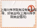 上海兴伟学院有没有就业指导，好就业吗(上海兴伟学院就业情况)