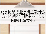 北京网络职业学院主攻什么方向有哪些王牌专业(北京网院王牌专业)