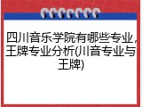 四川音乐学院有哪些专业，王牌专业分析(川音专业与王牌)