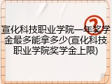 宣化科技职业学院一年奖学金最多能拿多少(宣化科技职业学院奖学金上限)