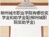 柳州城市职业学院有哪些奖学金和助学金呢(柳州城职院奖助学金)