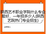 陕西艺术职业学院什么专业最好，一年招多少人(陕西艺院热门专业招生)