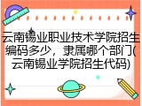 云南锡业职业技术学院招生编码多少，隶属哪个部门(云南锡业学院招生代码)