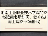湖南工业职业技术学院的图书馆藏书量如何，简介(湖南工院图书馆藏书)