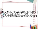 武汉科技大学有出过什么知名人士吗(武科大知名校友)