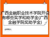 广西金融职业技术学院开设有哪些奖学和助学金(广西金融学院奖助学金)