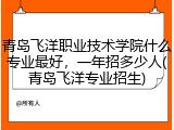 青岛飞洋职业技术学院什么专业最好，一年招多少人(青岛飞洋专业招生)