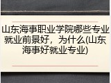 山东海事职业学院哪些专业就业前景好，为什么(山东海事好就业专业)