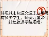蚌埠城市轨道交通职业学院有多少学生，师资力量如何(蚌埠轨道学院规模)