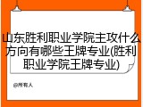 山东胜利职业学院主攻什么方向有哪些王牌专业(胜利职业学院王牌专业)