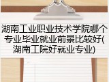 湖南工业职业技术学院哪个专业毕业就业前景比较好(湖南工院好就业专业)