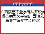 广西演艺职业学院共开设有哪些类型奖学金(广西演艺职业学院奖学金种类)