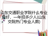 山东交通职业学院什么专业最好，一年招多少人(山东交院热门专业人数)