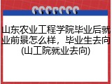 山东农业工程学院毕业后就业前景怎么样，毕业生去向(山工院就业去向)