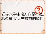 辽宁大学主攻方向是什么，怎么样(辽大主攻方向如何)