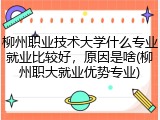 柳州职业技术大学什么专业就业比较好，原因是啥(柳州职大就业优势专业)