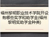 福州黎明职业技术学院开设有哪些奖学和助学金(福州黎明奖助学金种类)