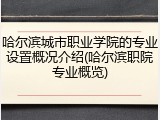 哈尔滨城市职业学院的专业设置概况介绍(哈尔滨职院专业概览)