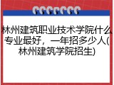 林州建筑职业技术学院什么专业最好，一年招多少人(林州建筑学院招生)