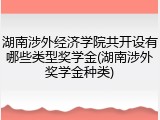 湖南涉外经济学院共开设有哪些类型奖学金(湖南涉外奖学金种类)