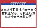 湖南软件职业技术大学有没有就业指导，好就业吗(湖南软件大学就业如何)