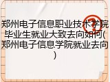 郑州电子信息职业技术学院毕业生就业大致去向如何(郑州电子信息学院就业去向)