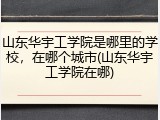 山东华宇工学院是哪里的学校，在哪个城市(山东华宇工学院在哪)