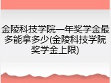 金陵科技学院一年奖学金最多能拿多少(金陵科技学院奖学金上限)